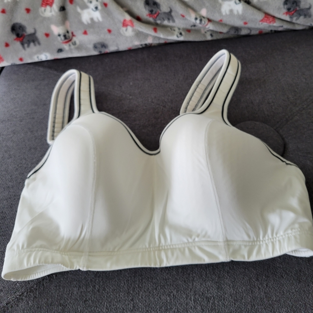 Cacique Sports Bra